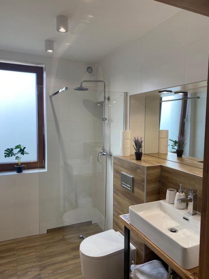 Apartamenty Na Wyrszczku Apartament Nr 3 イステブナ エクステリア 写真
