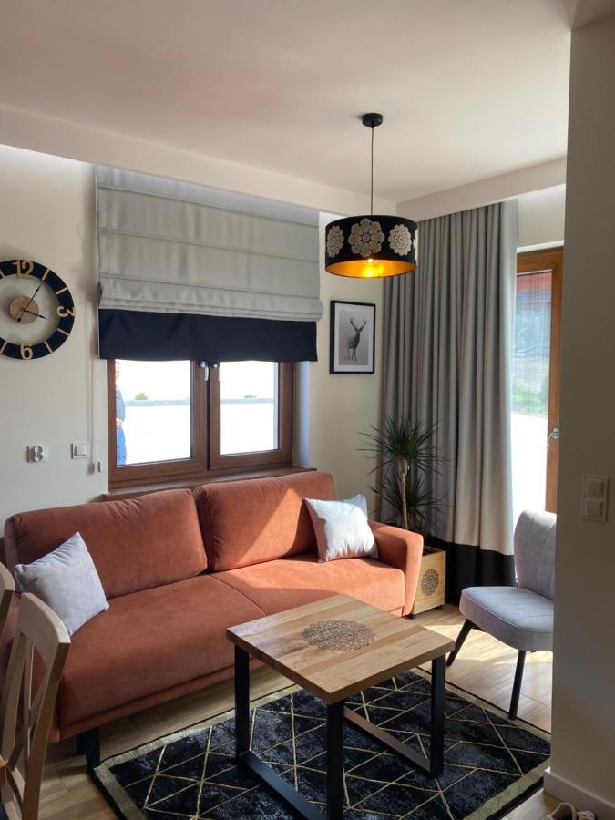 Apartamenty Na Wyrszczku Apartament Nr 3 イステブナ エクステリア 写真