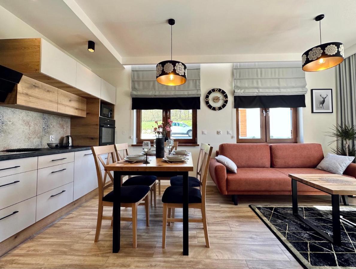 Apartamenty Na Wyrszczku Apartament Nr 3 イステブナ エクステリア 写真